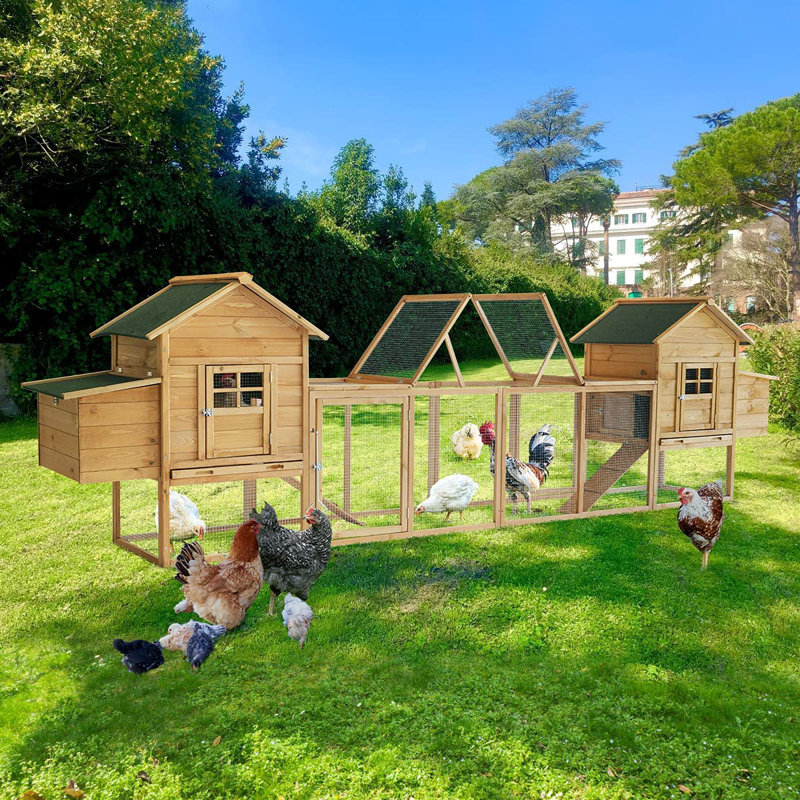 Fultonham 29.89 Square Feet Chicken Coop with Chicken Run For Up To 6 Chickens