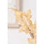 Dried Flower Bunch-119034008-119034009
