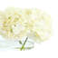 Hydrangeas Arranged in Oval Vase-1772597359
