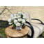 UV Protected Geranium Arrangement-2871870-2871871