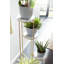Aivry Plant Stand