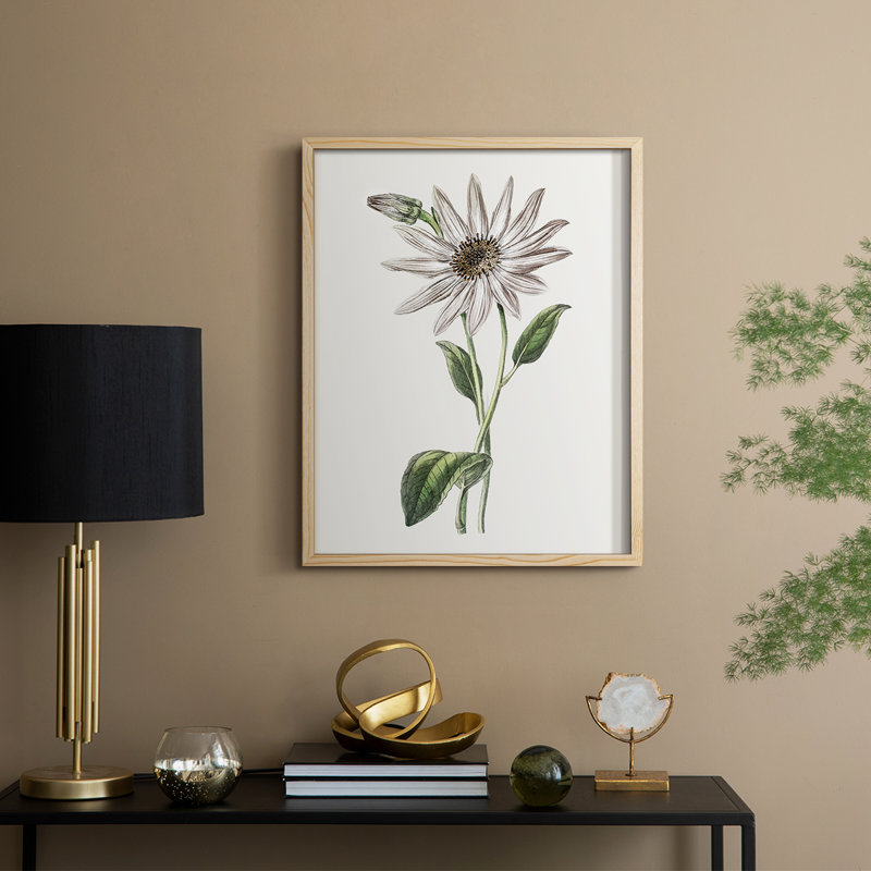 «Tropical Botanical III», reproduction encadrée - bois massif, Naturel, H 15 po x l 12 po