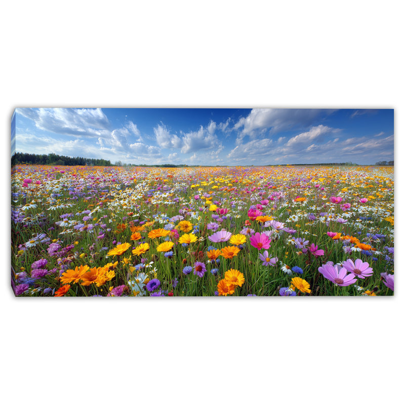 «Spring Hillside», art mural sur toile tendue, H 24 po x l 48 po x P 1,5 po
