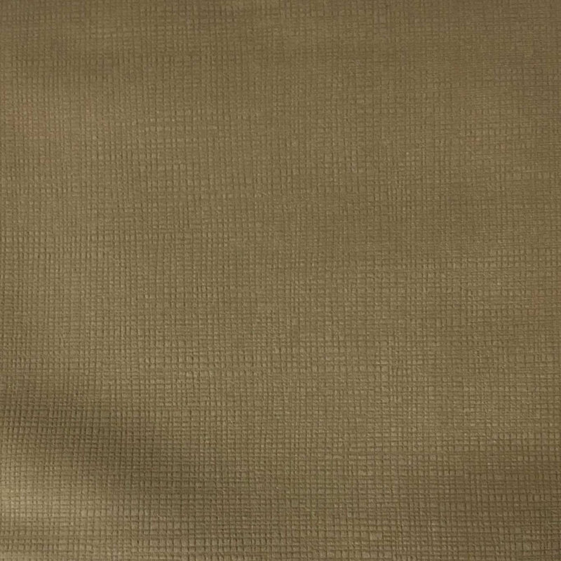 Tissu velours uni texturé Pismo-Creek, Latte