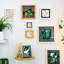 6" x 8" Plastic Box Frame-90692449