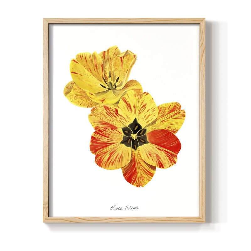 Olive's Tulips I, reproduction encadrée - bois massif, H 21 po x l 17 po