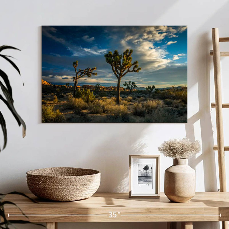Paysage du parc national Ravi Joshua Tree, H 16 po x l 24 po