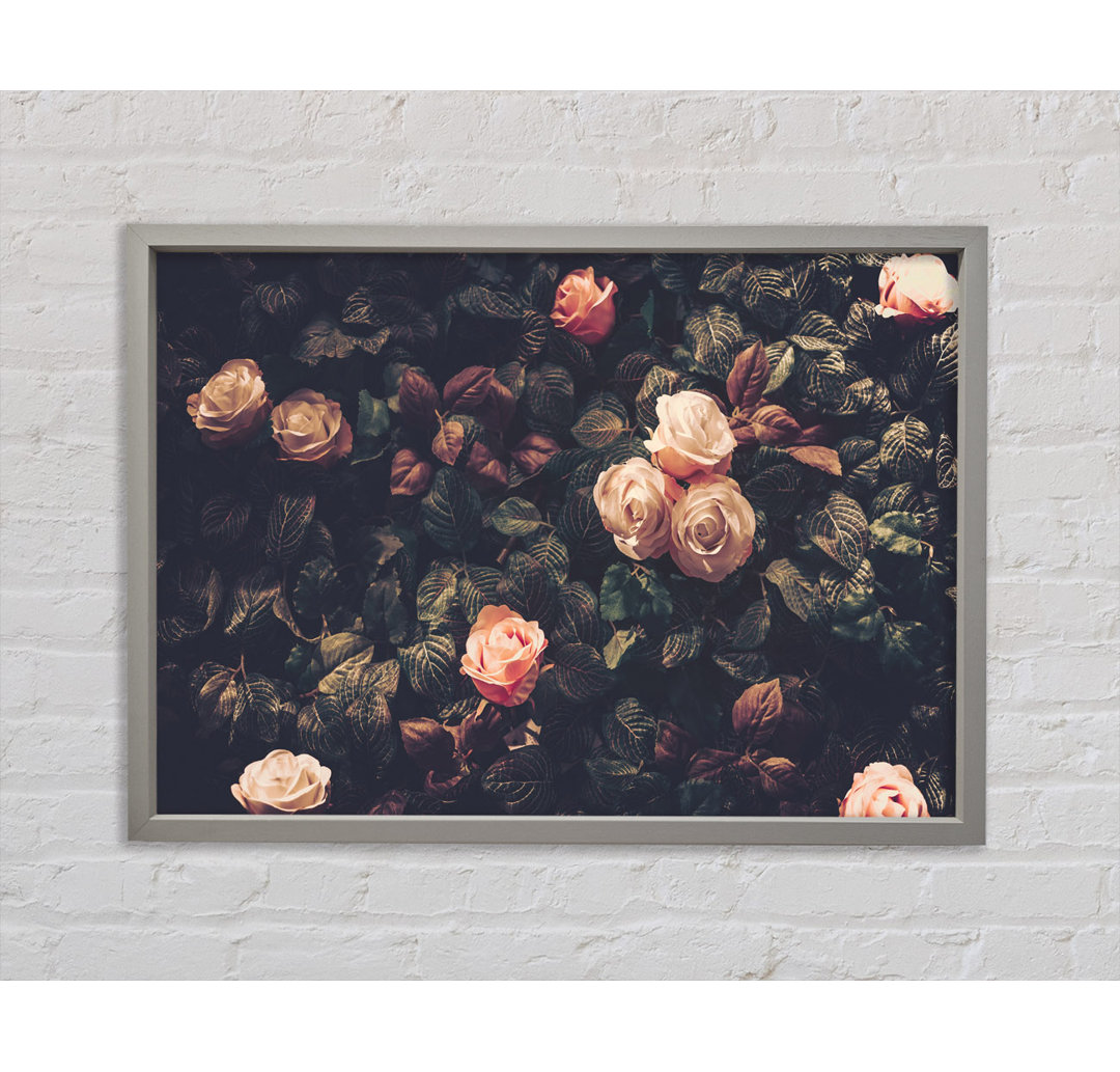 Pale Roses In Soft Greenery - Einzelner Bilderrahmen Kunstdrucke auf Leinwand