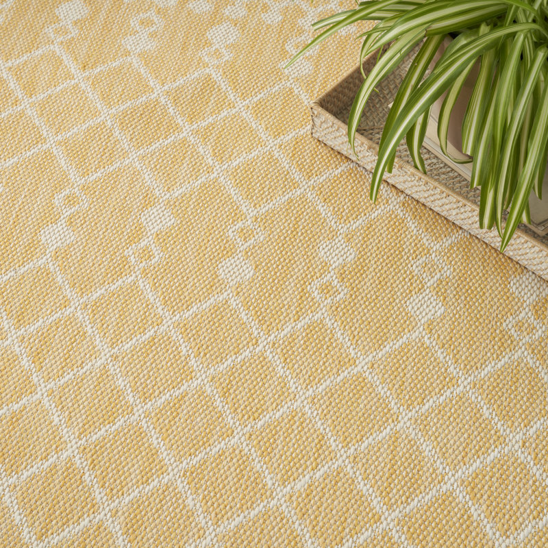 Robbs Rectangle Indoor/Outdoor Area Rug, Rectangle 4' x 6', Yellow
