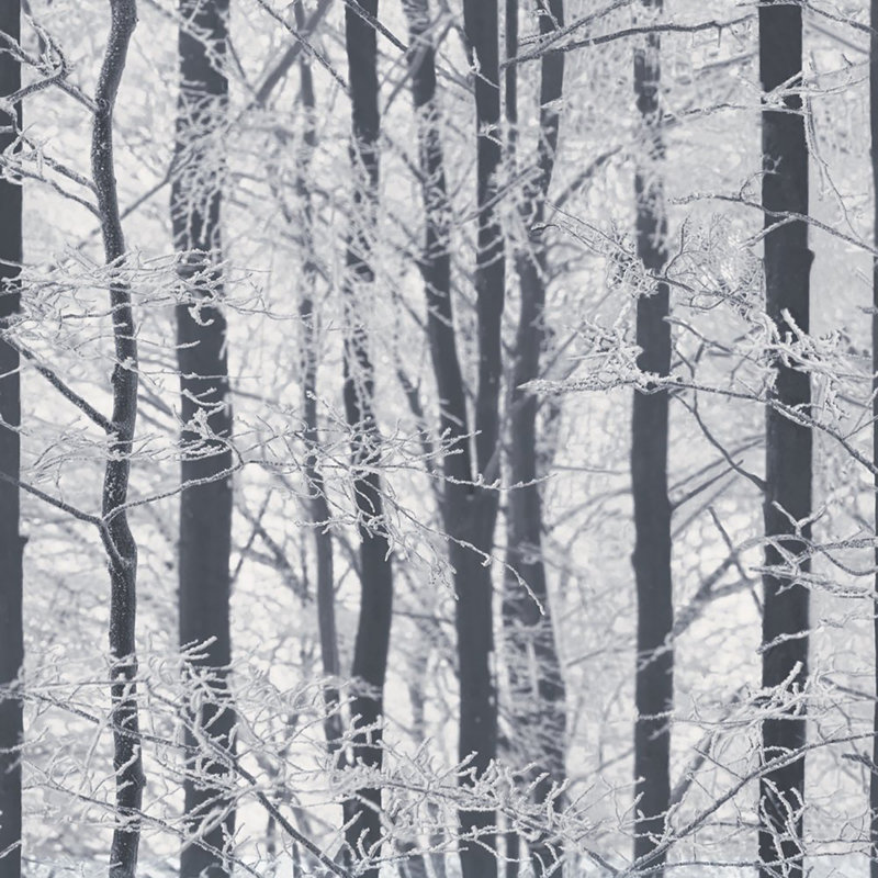 Frosted Wallpaper