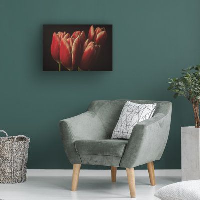 Art sur toile, Bolo