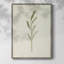 Olive Olive II, reproduction encadrée - bois massif-1550714112