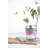 Kilner Breakfast Jar