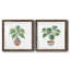 Boho Greenery I - ensemble de 2 peintures-175127676-175127679