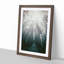 Down the Forest Path in Abstract - Picture Frame Painting Print-55545843-55545848