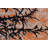 Dortly One-of-a-Kind 6' X 8'9" Wool Area Rug