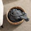 Panier de rangement rond en ruppie maritime