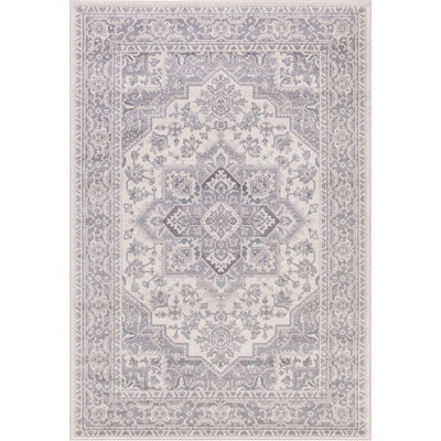 Oriental Indoor Rug