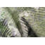 Tapis vert serein abstrait 2x4 pour espaces modernes