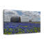 «Flower Fields Texas Bluebonnets», reproduction sur toile-92519702