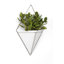 Trigg Planter Wall Decor-36905908