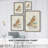 Hawk Owl Framed Print - Solid Wood