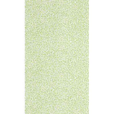 Standen Wallpaper