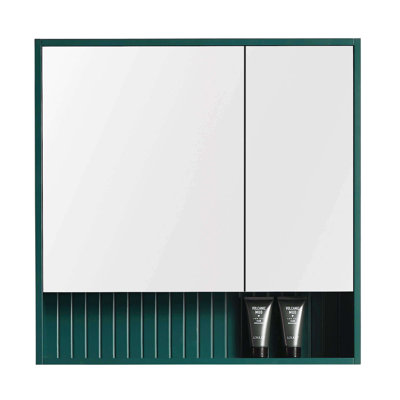Asahel Surface Double Medicine Cabinet