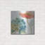 «Rainbow Seeds Flowers IV» par Lisa Audit-212187210