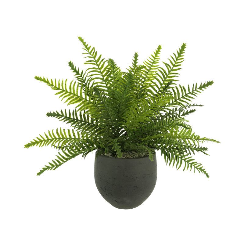 Outdoor UV-Rated Fern in Fiberstone Pot, Black