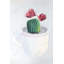 Mini cactus dans une tasse - Toile exotique pour la décoration intérieure