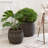 Bay Isle Home™ Plastic Decorative Basket