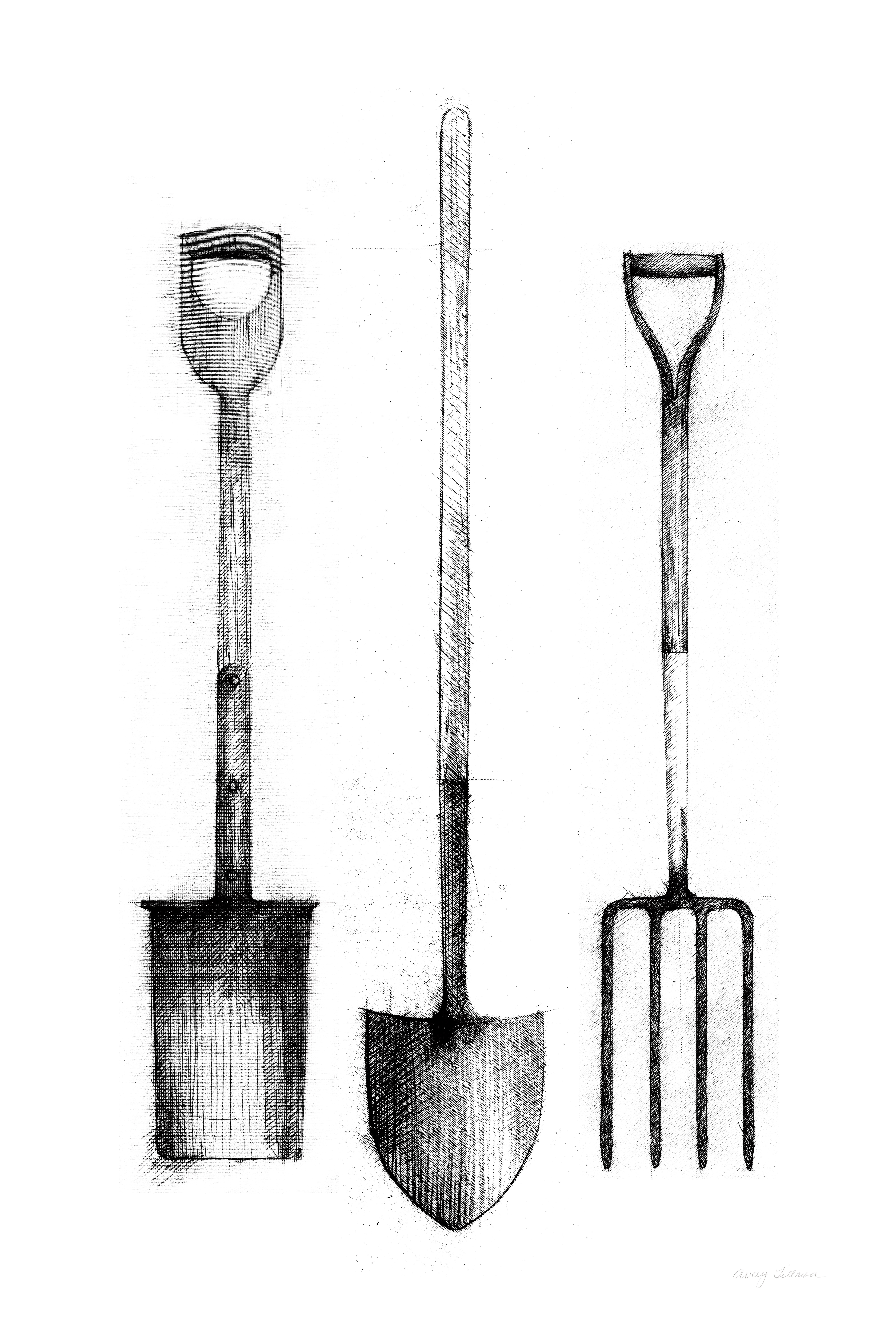 Rosalind Wheeler Farm and Garden VII Crop by Avery Tillmon - Drawing Print  | Wayfair, image size:5600x8400