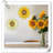 Wall Decor on Metal