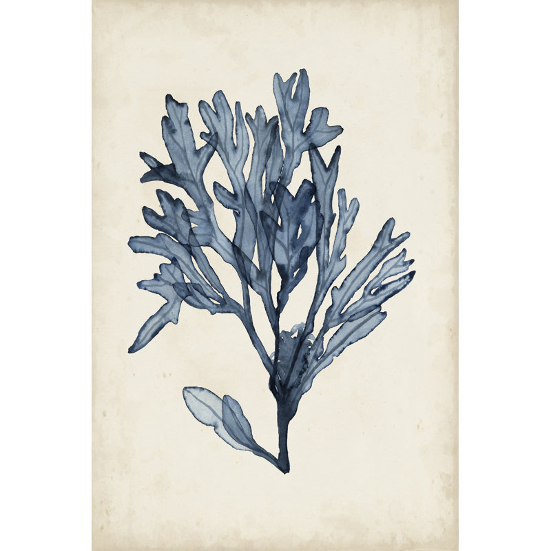 Seaweed Specimens II by Naomi McCavitt - Painting on Canvas, 91cm H x 61cm W, Wrapped Canvas