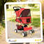 Poussette de transport pour chat avec poussette-123302815