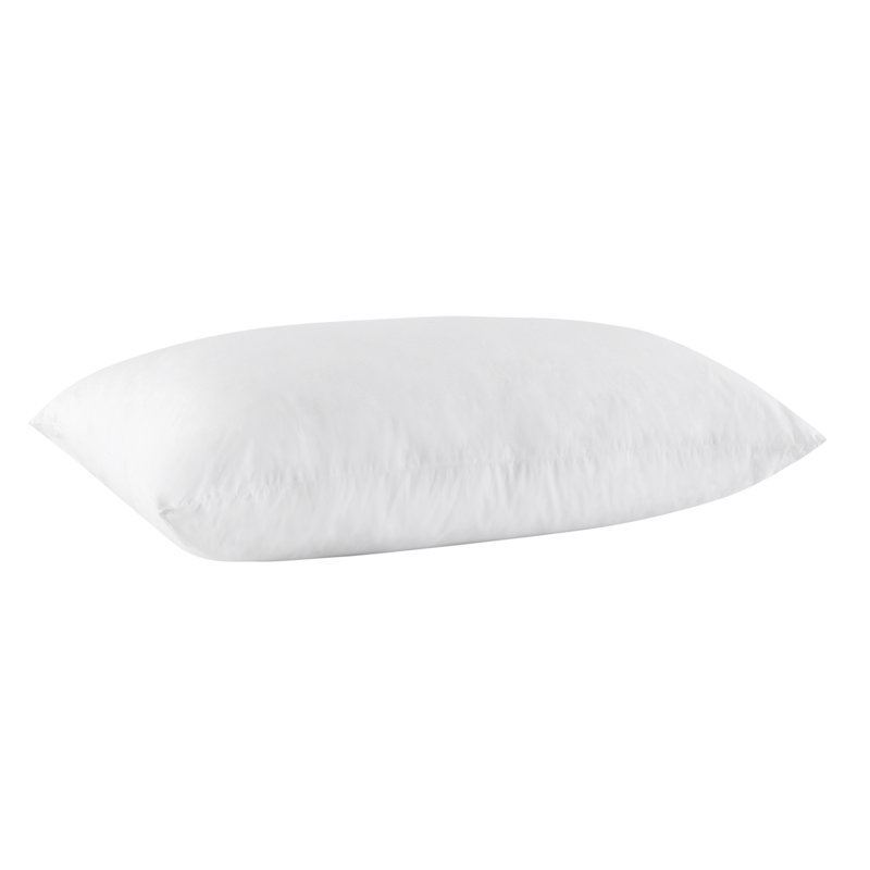 Insert de coussin en duvet d'oie de qualité supérieure, H 21 po x l 38 po