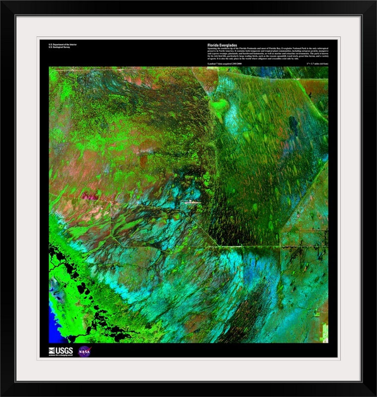 « floride tapis everglades-usg terre », impression, H 28 x l 28 po x P 1 po, Cadre noir