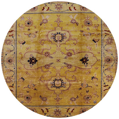 Oriental Indoor Rug