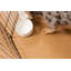 Protecteur de plancher pour animaux Levant-89098764-103880696