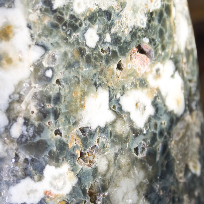 Forme polie de jaspe de mer - Madagascar
