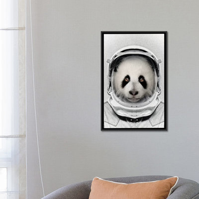 " Panda Astro Bear "