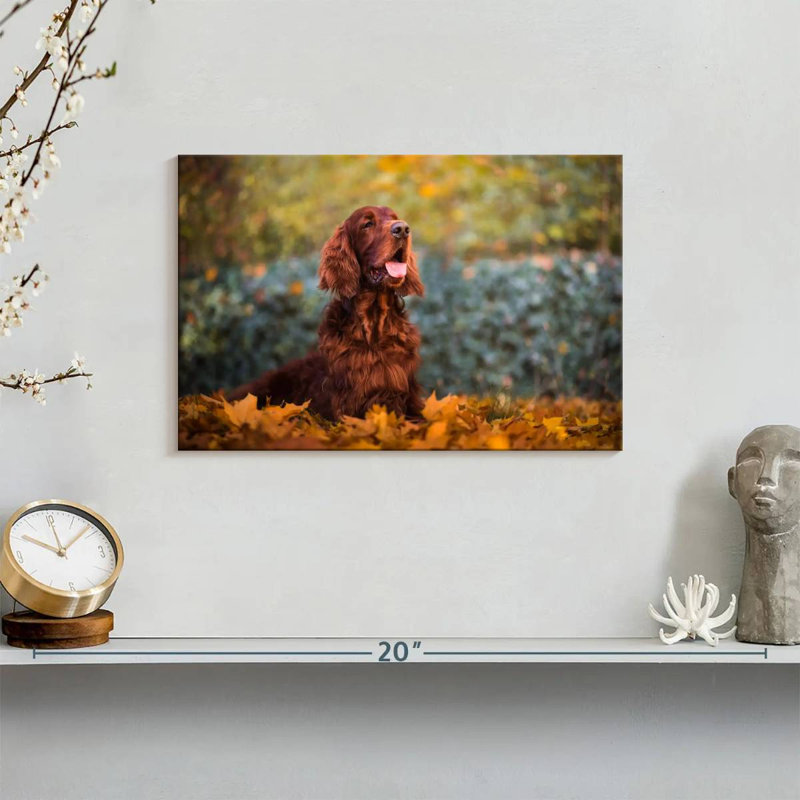 Irish Setter In Autumn, 8" H x 12" W