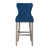 Blue/ Antique Gray Frame is out of stock