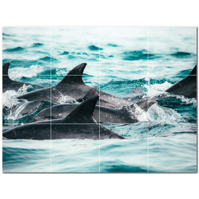 Dauphin photo 6 x 6