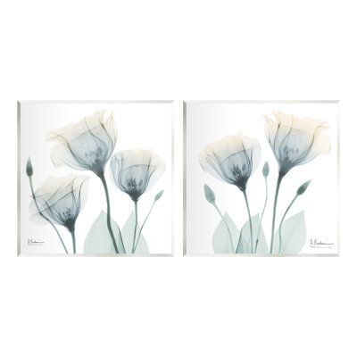 Ensemble de 2 tulipes bourgeonnantes opaques par Albert Koetsier