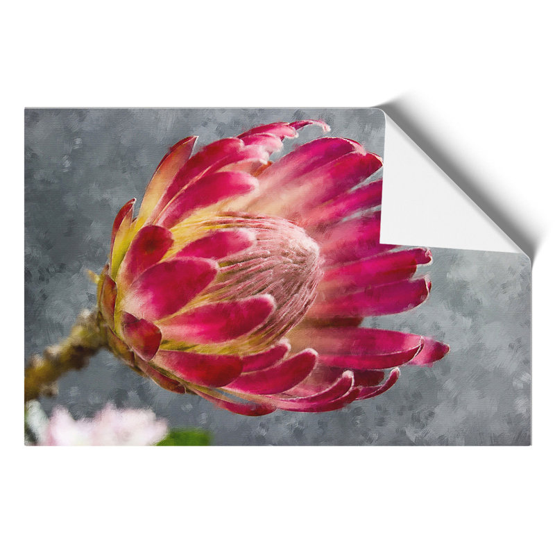 Pink Protea Flower Painting - Frameless Print, 21cm H x 30cm W x 0.1cm D
