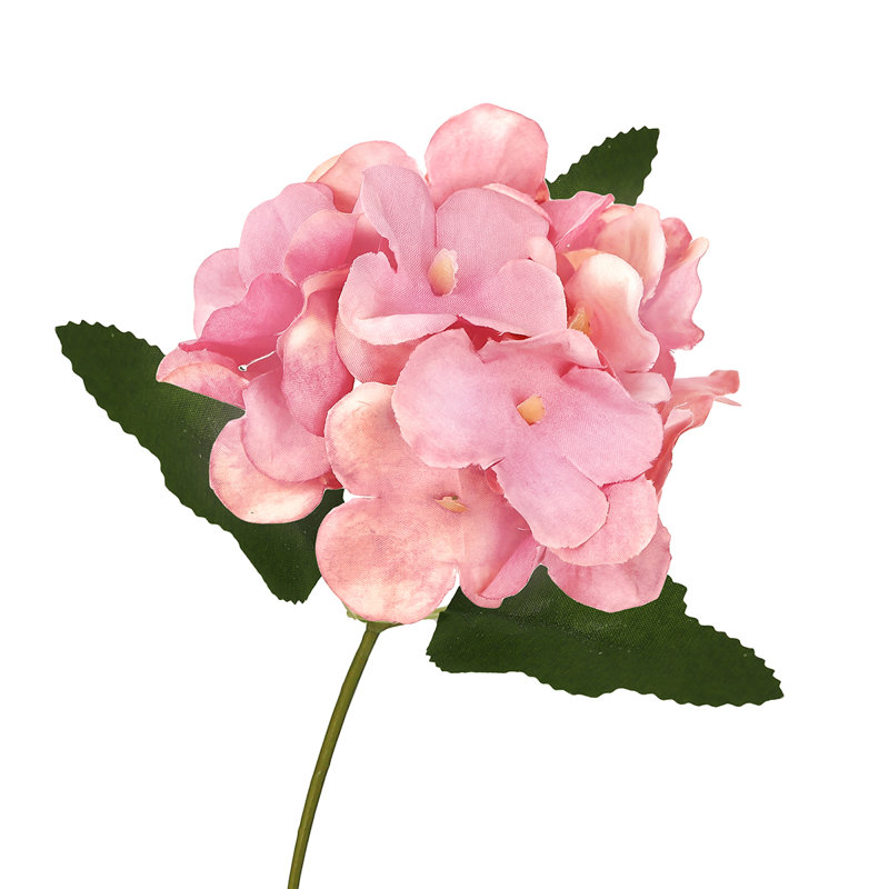 Hydrangea Arrangement, Pink