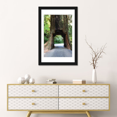 Chandelier Tree In Drive-Thru Tree Park, Redwood National And State Parks, California, USA by Panoramic Images - Wrapped Canvas Gallery-Wrapped Canvas Giclée