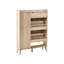10 Pair Shoe Storage Cabinet